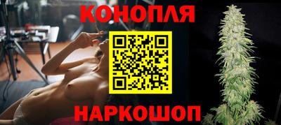 PSILOCYBIN Канаш