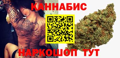 PSILOCYBIN Канаш