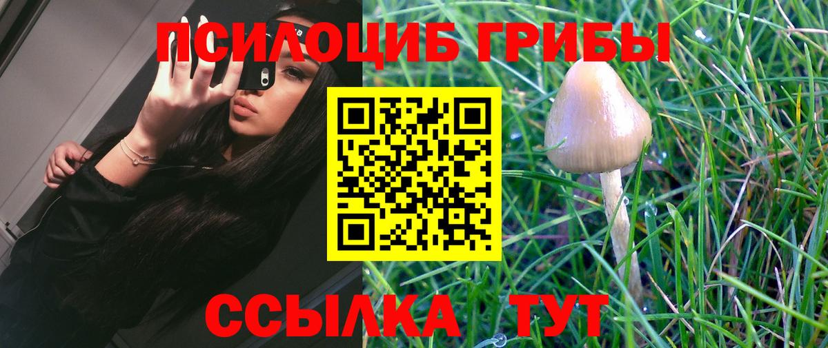 Кимовск  Галлюциногенные грибы мухоморы  Галлюциногенные грибы MAGIC MUSHROOMS  Вход с VPN 