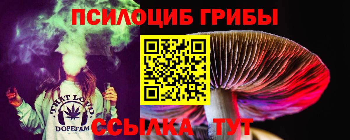 Галлюциногенные грибы ЛСД Кимовск