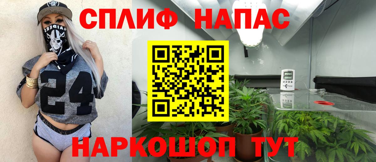 Бошки марихуана AK-47  Вход с VPN  Марихуана планчик  Кимовск 